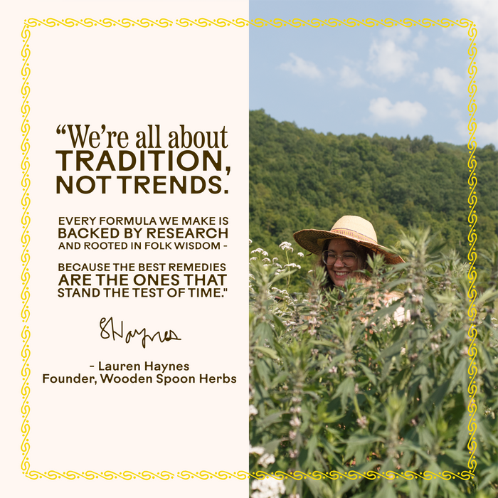 A woman in a straw hat smiles among tall green plants; beside her, a quote from Lauren Haynes, founder of Wooden Spoon Herbs, highlights Brain Bloom Capsules adaptogenic herbal blend benefits on a white background.