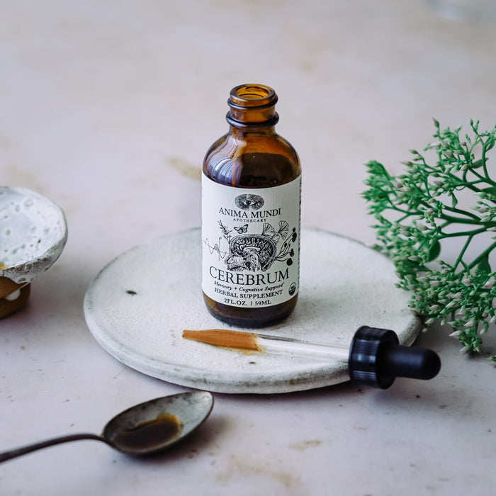 A bottle of Anima Mundi CEREBRUM Tonic, Memory + Energy, sits on a ceramic plate next to a spoon with liquid residue, a small dish, and green foliage—all arranged on a light tabletop.