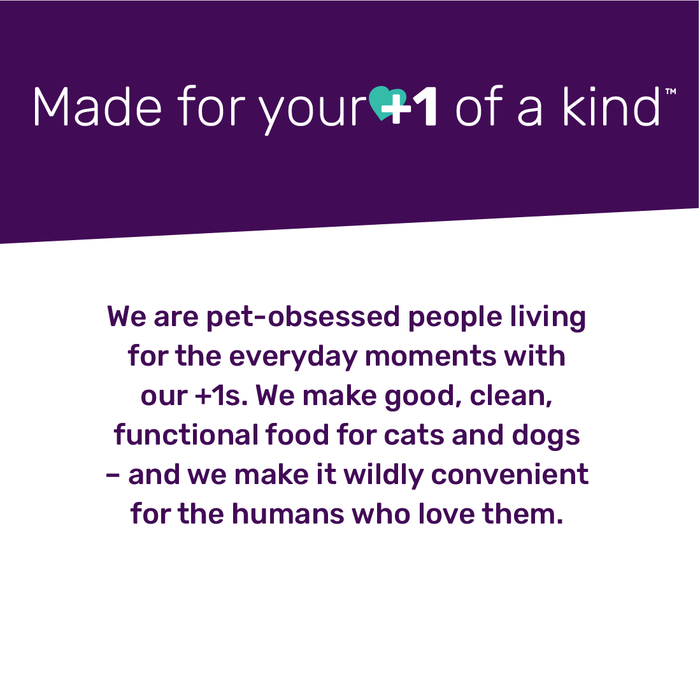 Purple and white graphic: Made for your +1 of a kind. Message below: Were pet-obsessed, living for everyday moments with our +1s. Our Cluckin Good and Gobble it Up Stew Grain-Free Combo Pack by I and Love and You features real meat and veggies, offering clean, convenient food for dogs.