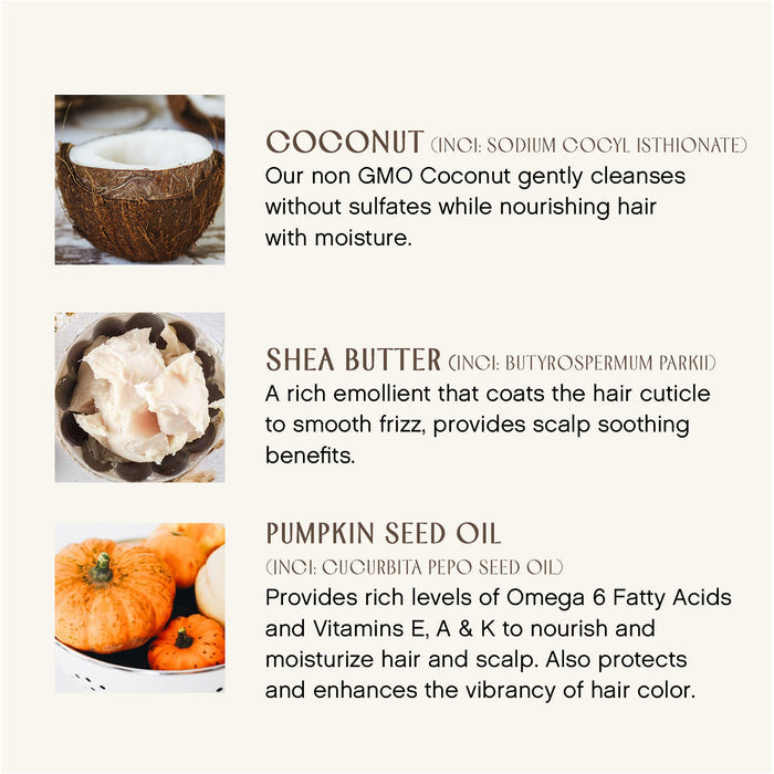 A description of three hair care ingredients with images. Coconut: A whole coconut and text about its sulfate-free cleansing and nourishment benefits. Shea Butter: A scoop of shea butter and text on frizz smoothing and protection. Pumpkin Seed Oil: Pumpkins displayed with text on its nourishing vitamins and enhancing hair color.