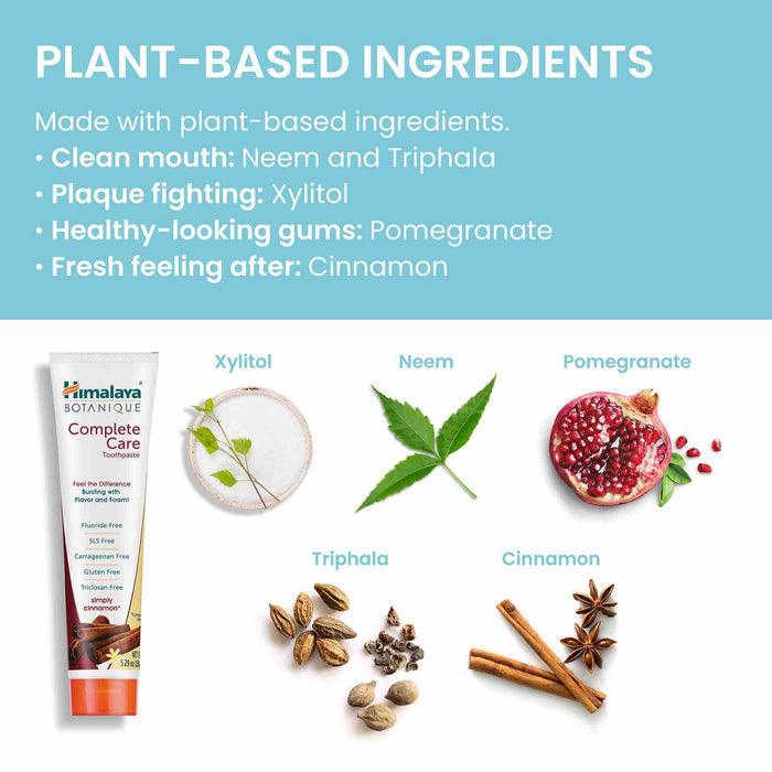 A toothpaste tube labeled "Himalaya Botanique Complete Care" is shown with plant-based ingredients illustrated next to it: Xylitol with leaves, Neem with leaves, Pomegranate cut open, Triphala as berries, and Cinnamon sticks with star anise.