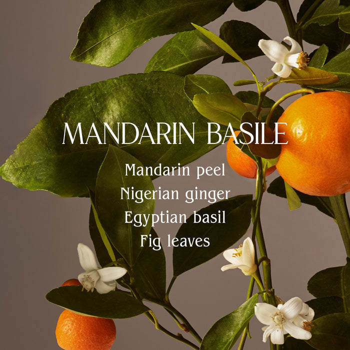 A branch with green leaves, white flowers, and ripe mandarins. Overlaid text reads: HOMECORT Dish Soap—fragrance-forward with mandarin peel, Nigerian ginger, Egyptian basil & fig leaves; made using plant-derived surfactants.