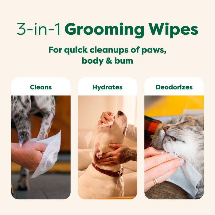 Three images show Earth Rated Dog Grooming Wipes – Extra Thick, White Tea Basil Scented: cleaning a dogs paw (Cleans), face (Hydrates), and a cat’s head (Deodorizes). Hypoallergenic wipes for quick cleanup of paws, body, and bum.