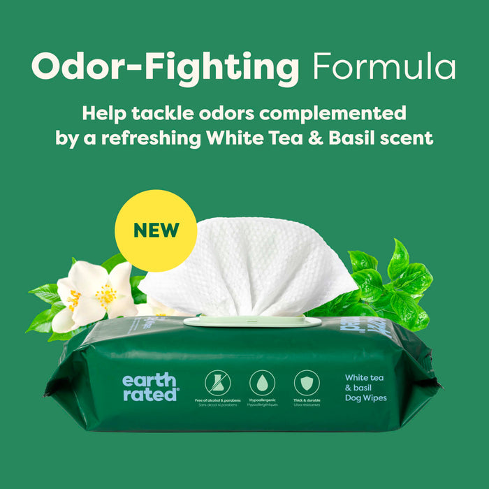 An open pack of Earth Rated Dog Grooming Wipes – Extra Thick, White Tea Basil Scented sits surrounded by fresh basil leaves and white tea flowers. Text above reads “Odor-Fighting Formula” with a new, refreshing scent highlighted.