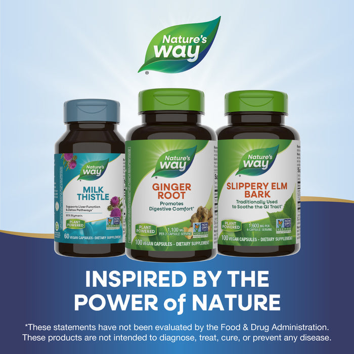 A Nature’s Way Ginger Root supplement bottle is displayed above the text Inspired by the Power of Nature on a blue background with a green Nature’s Way logo, highlighting traditional digestive support.