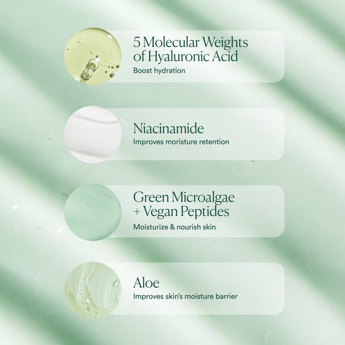 Four OSEA Hyaluronic Body Serum ingredient highlights on a green textured background: hyaluronic acid hydrates, niacinamide locks in moisture, green microalgae and peptides nourish sensitive skin, and aloe supports the moisture barrier.