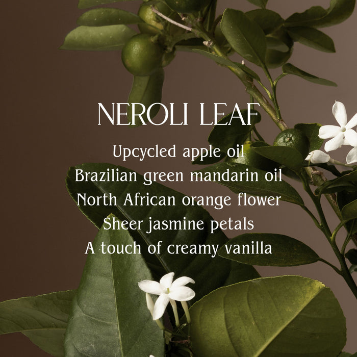 Close-up of green leaves, small green fruits, and white jasmine flowers highlights Homecourt Dish Soap’s fragrance-forward blend—upcycled apple oil, mandarin oil, orange flower, jasmine petals, creamy vanilla—with plant-derived surfactants.