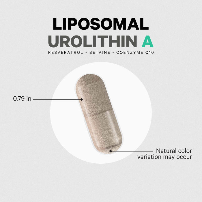A 0.79-inch capsule from Codeage labeled Liposomal Urolithin A features liposomal delivery, resveratrol, betaine, and coenzyme Q10. Note: natural color variation may occur.