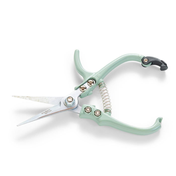 Modern Sprouts Pruning Shears in light green have shiny silver blades, ergonomic handles, and a spring mechanism, all set against a plain white background.