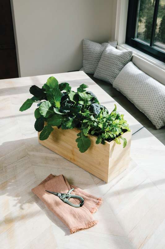 A wooden planter box with lush leafy greens sits on a light-colored table. Nearby, a folded pink napkin and Modern Sprout Pruning Shears are set. In the background, cushioned seating areas enjoy soft window lighting.
