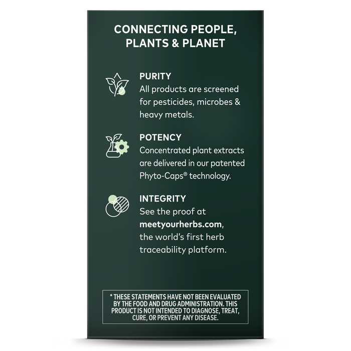 A vertical infographic titled Connecting People, Plants & Planet showcases the purity, potency, and integrity of Gaia Herbs Sauerkraut Postbiotic. It emphasizes contaminant screening, concentrated plant extracts, and traceability at meetyourherbs.com to support gut and immune health.
