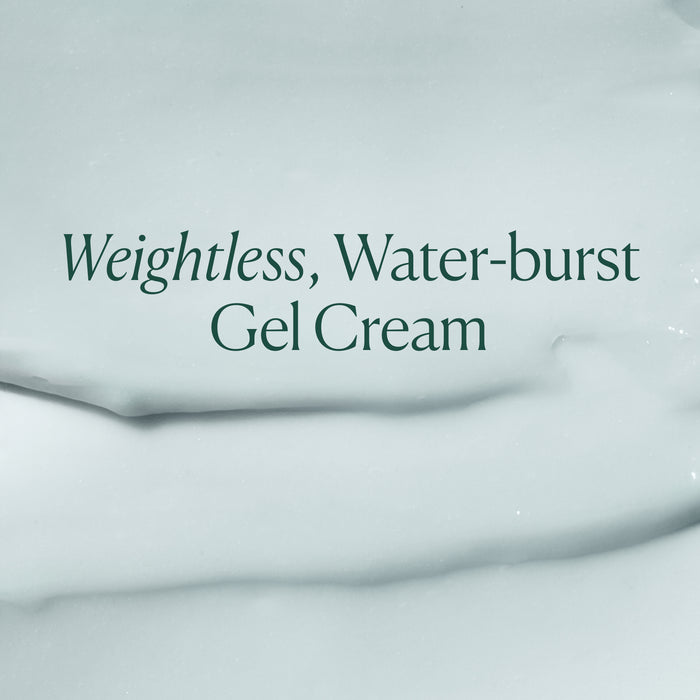 The text “Seabiotic® Water Cream” appears over a smooth, creamy background. The elegant dark green font highlights this OSEA hydrating water cream and dermatologist-approved moisturizer.