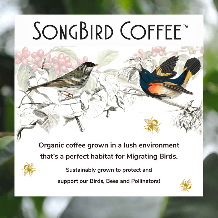 The label for SongBird Colombian Dark by Thanksgiving Coffee depicts two birds on branches with berries and leaves, highlighting its sustainable, bird-friendly production. This dark roast coffee supports birds, bees, and pollinators.