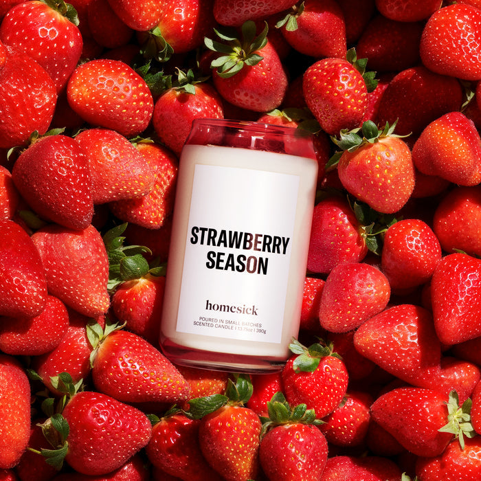 A Homesick Strawberry Season soy candle is surrounded by bright strawberries, contrasting the white, cruelty-free candle to create an inviting scene.