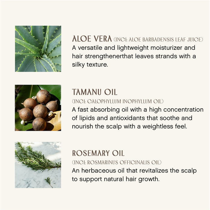 A graphic with aloe vera, tamanu nuts, and rosemary sprigs highlights Sweet Spirit Leave In Conditioner by Innersense Organic Beauty: certified organic extracts moisturize and strengthen hair while rosemary oil supports a healthy scalp.