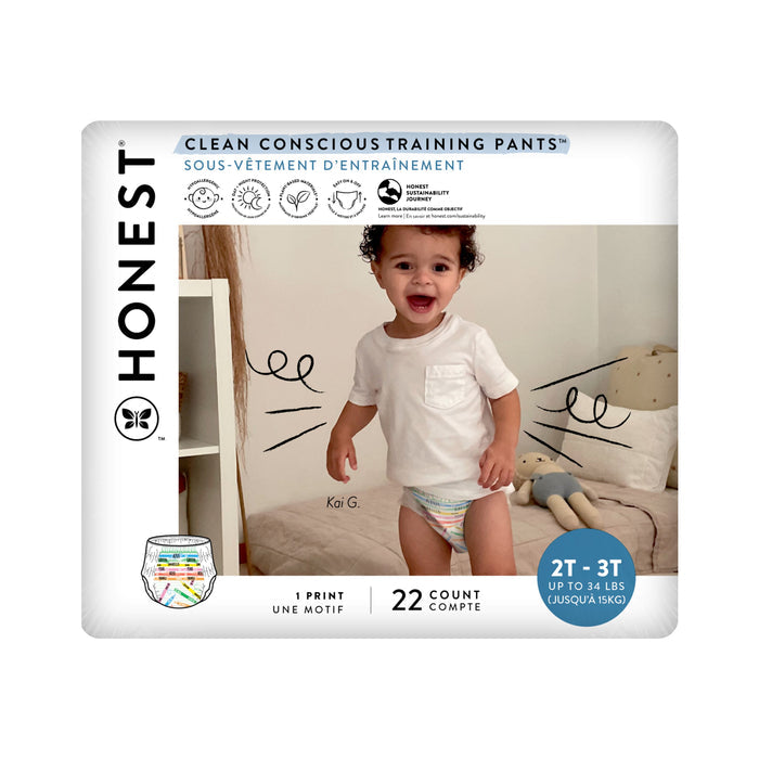 The image shows a pack of The Honest Companys Training Pants - 2T/3T with an absorbent core, ideal for potty training. It features a smiling toddler in a white shirt and comes with 22 pieces for essential milestones.