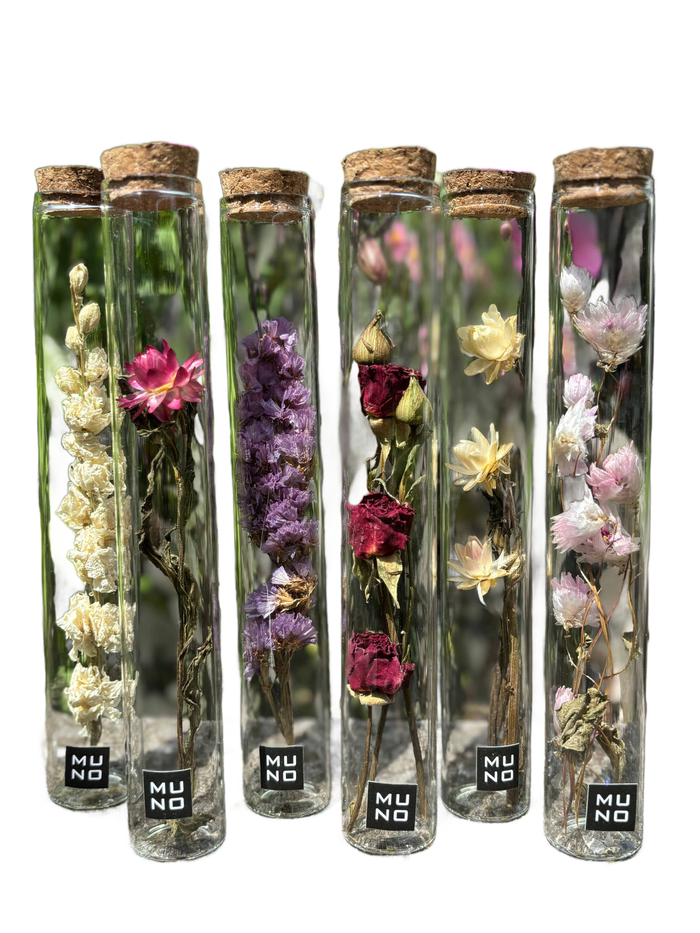 Dried Flower Gift Tube - Só Verde