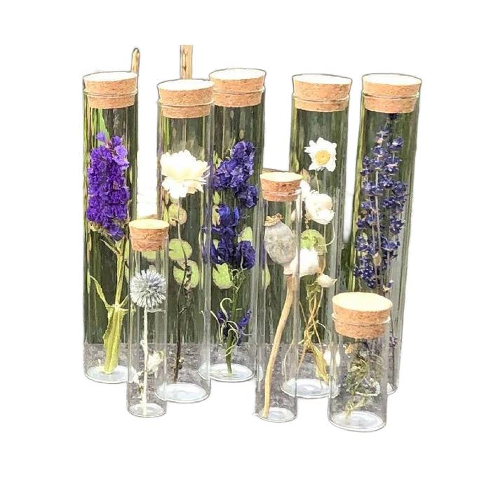 Dried Flower Gift Tube - Só Verde
