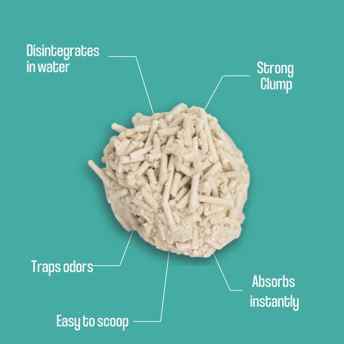 A beige clump of Dofu Cat Upcycled Cereal Litter sits on teal, labeled: Disintegrates in water, Strong Clump, Absorbs instantly, Easy to scoop, Superior odor control; 1 bag lasts up to 4 weeks.