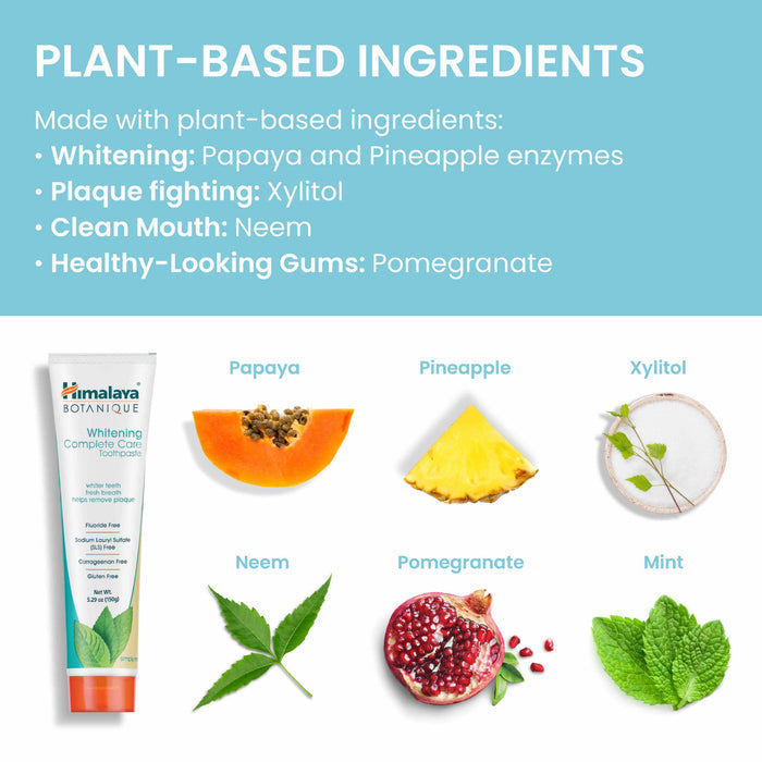 An infographic titled "Plant-Based Ingredients" features a toothpaste tube with natural extracts. Surrounding it are images of depicting: papaya, pineapple, xylitol, neem, pomegranate, and mint, with descriptions highlighting their benefits for oral health.